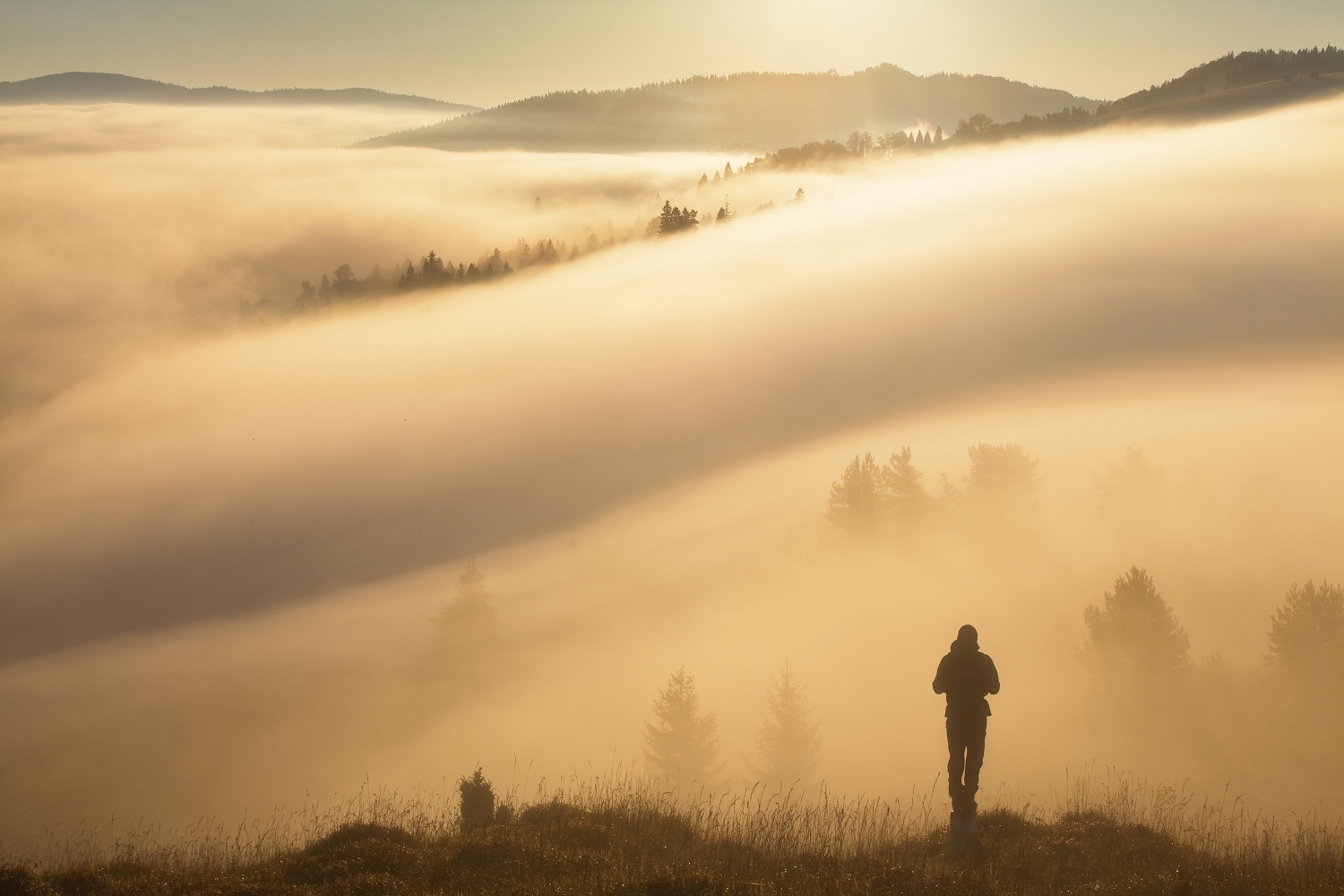 Fotografovo ráno, Slovensko