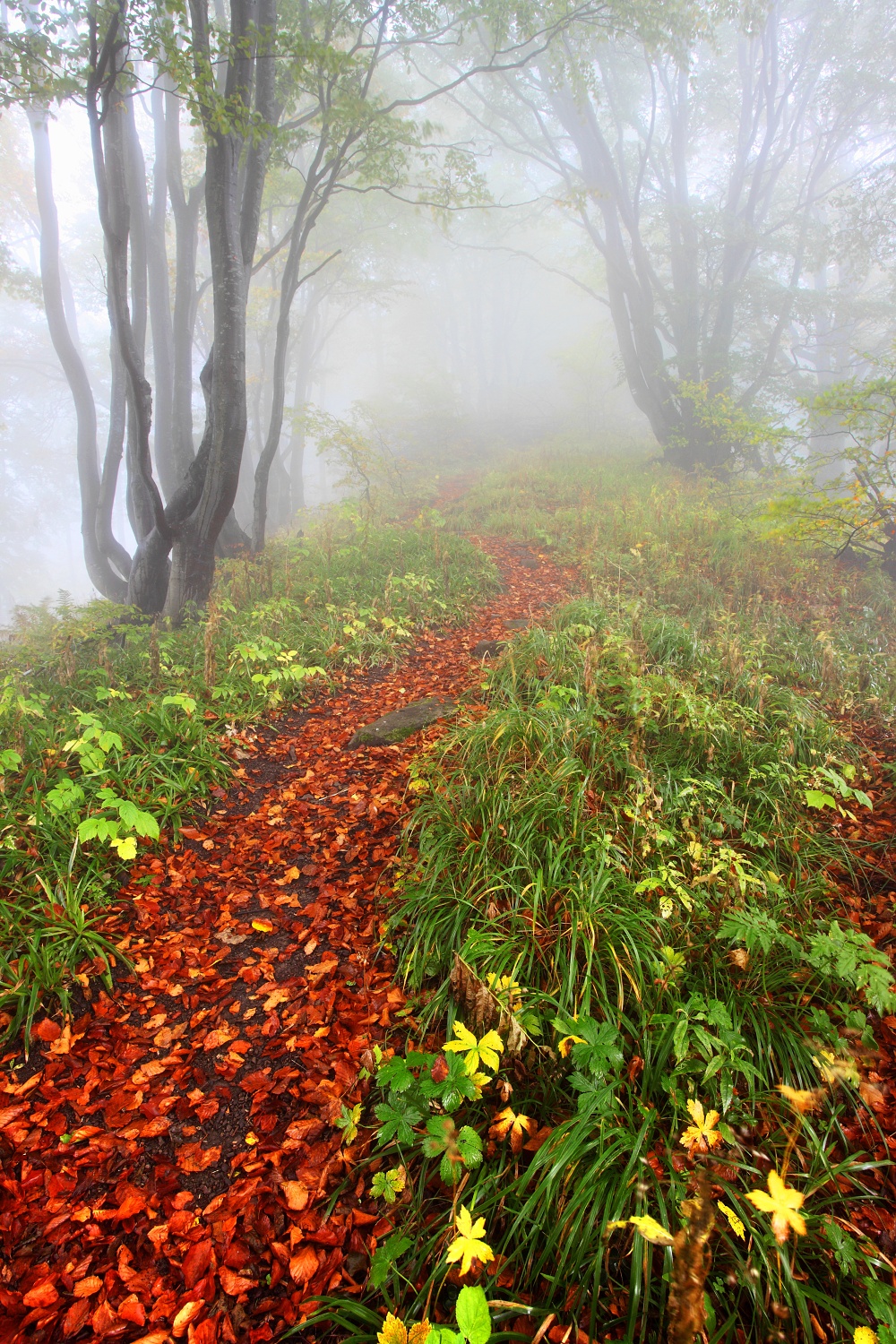 Malá Fatra, Slovensko