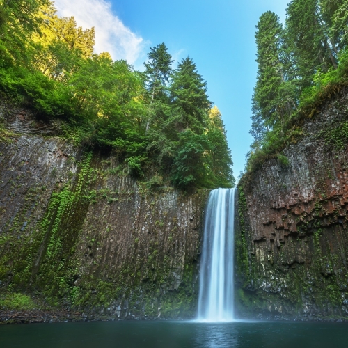 Vodopád v pralese, Oregon, USA
